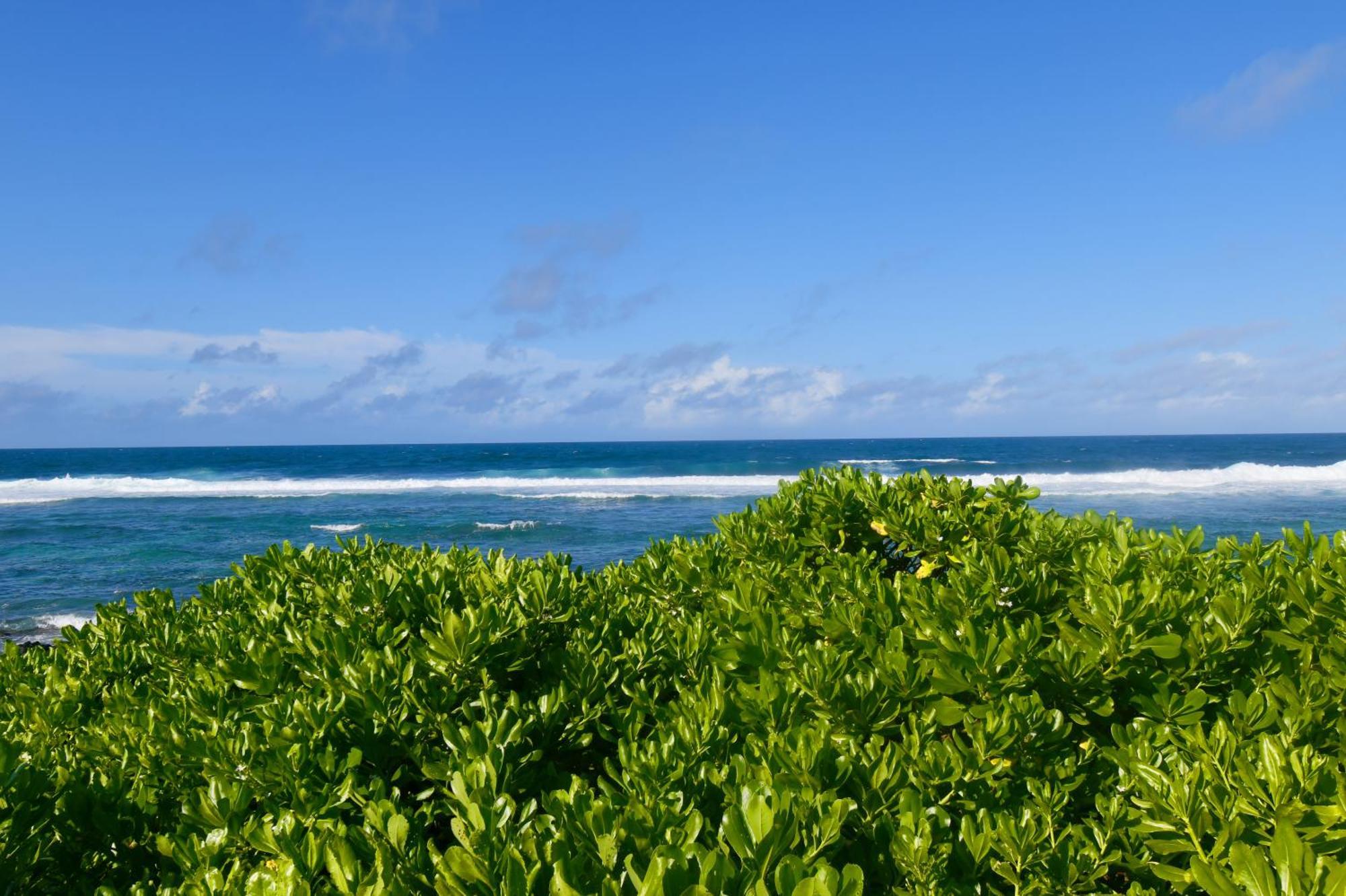 White&Blue Beachfront Luxury Poste Lafayette Exterior foto